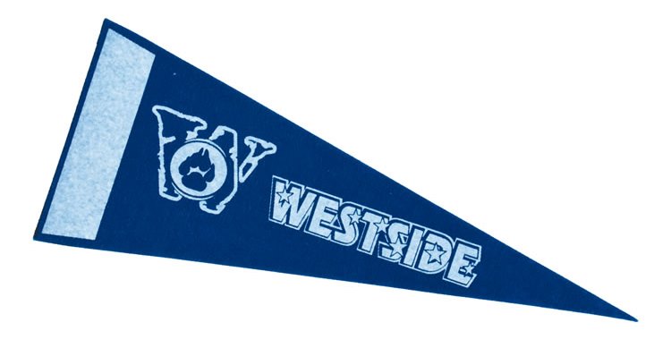 Stiff Felt Pennants - My WordPress Website